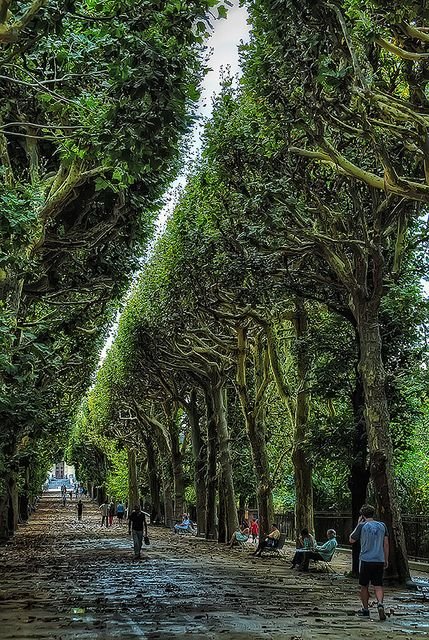 jardin des plantes 1